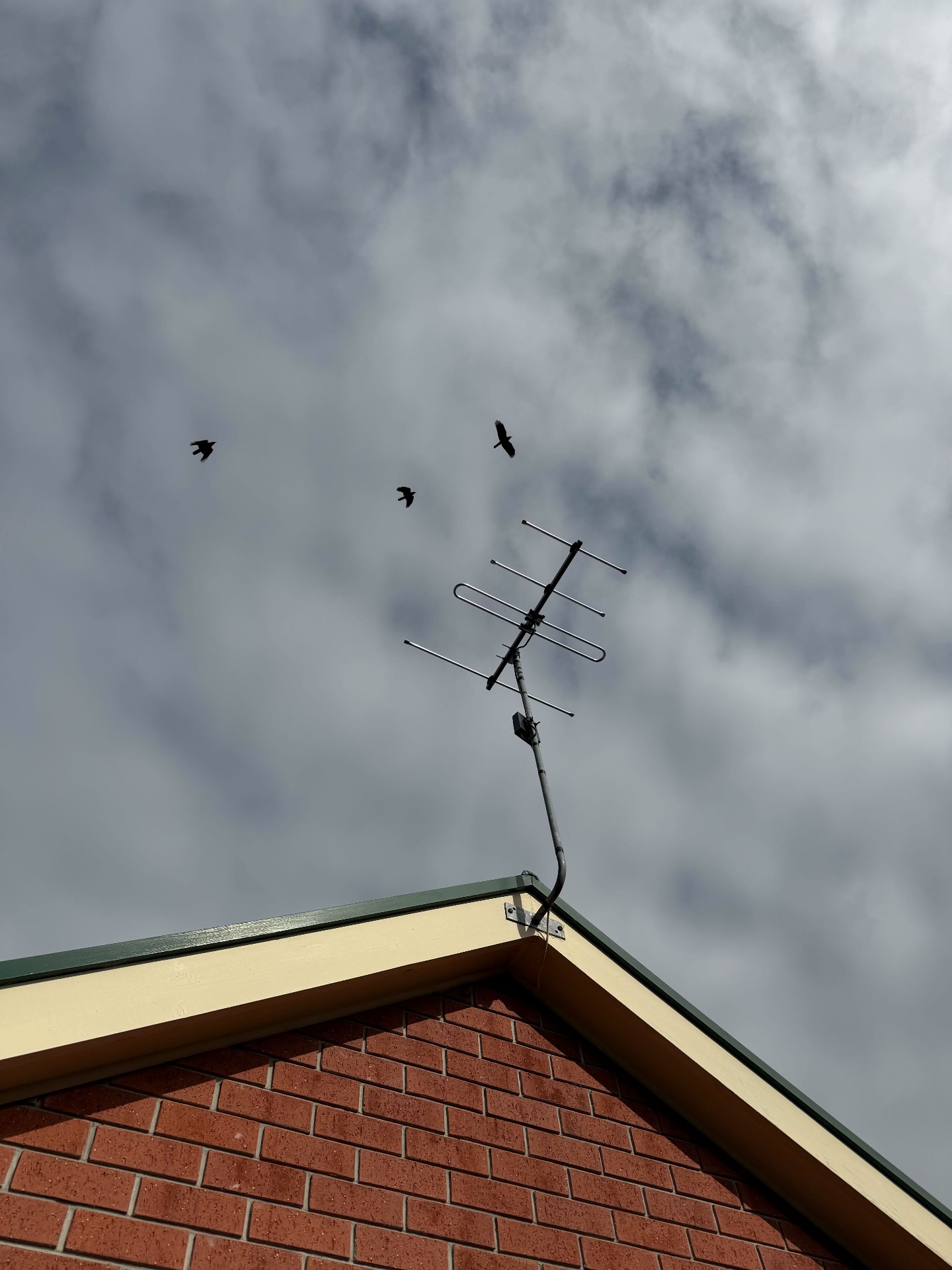 Installing an Australian-Made Digital Antenna to Restore Clear Reception